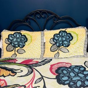 Anthro Laelia Queen Shams + Euro Shams